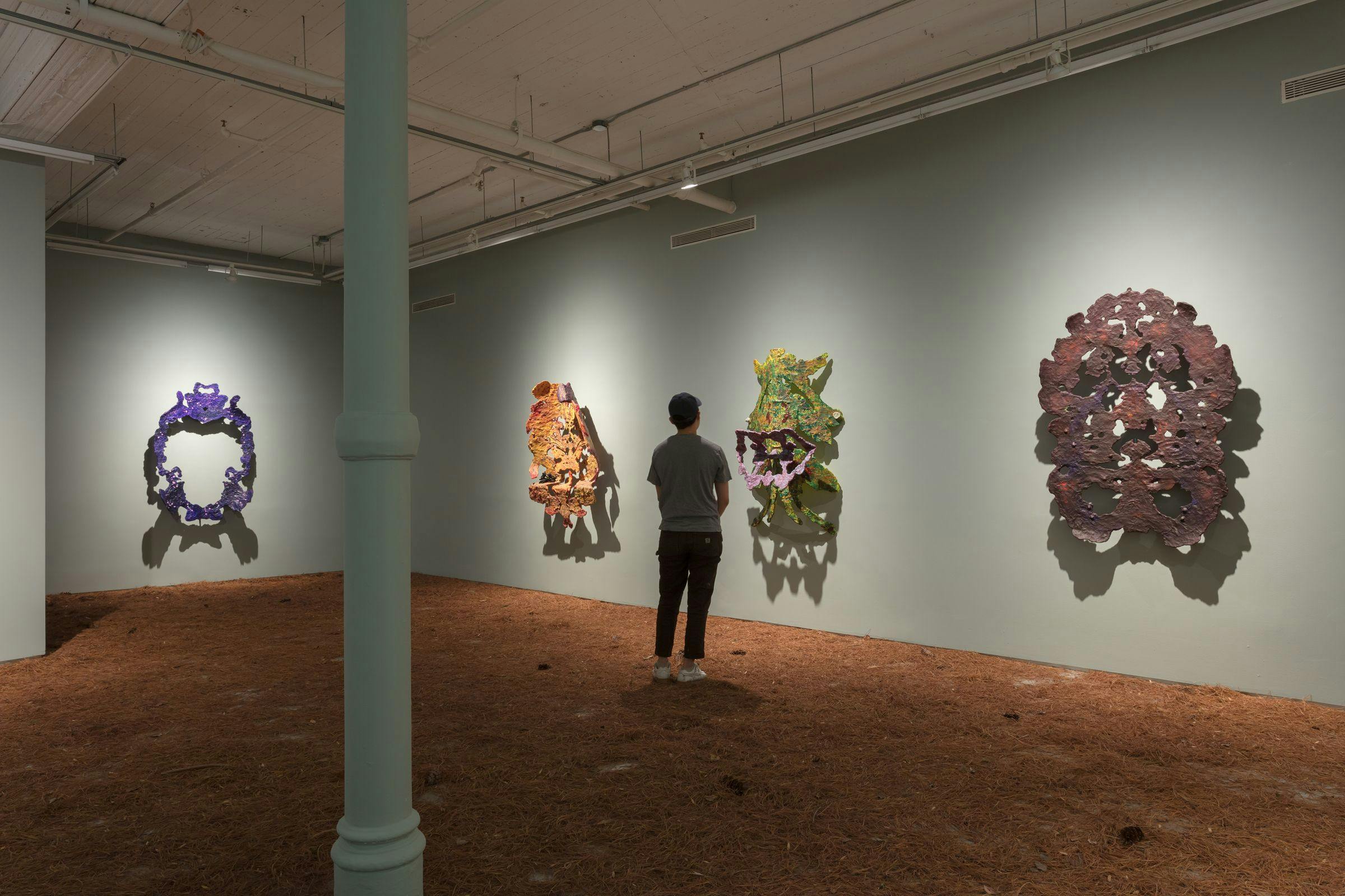 Installation view of 